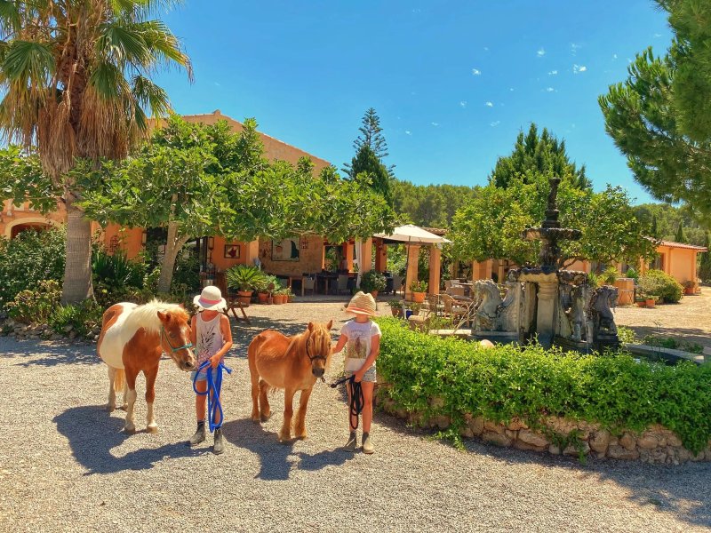 Finca Caballo Blanco Son Bages