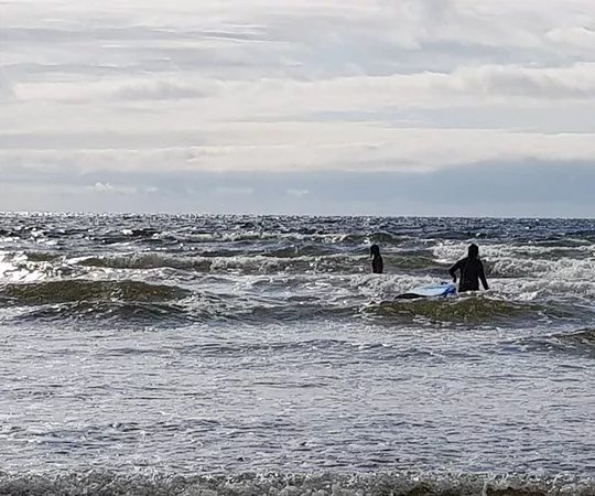 Murfs Surf School