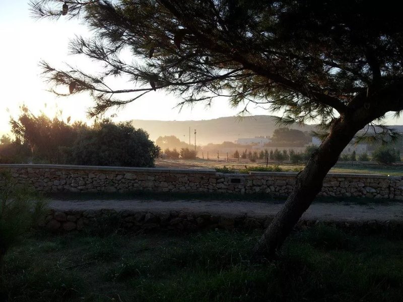 Ghajn Tuffieha Campsite