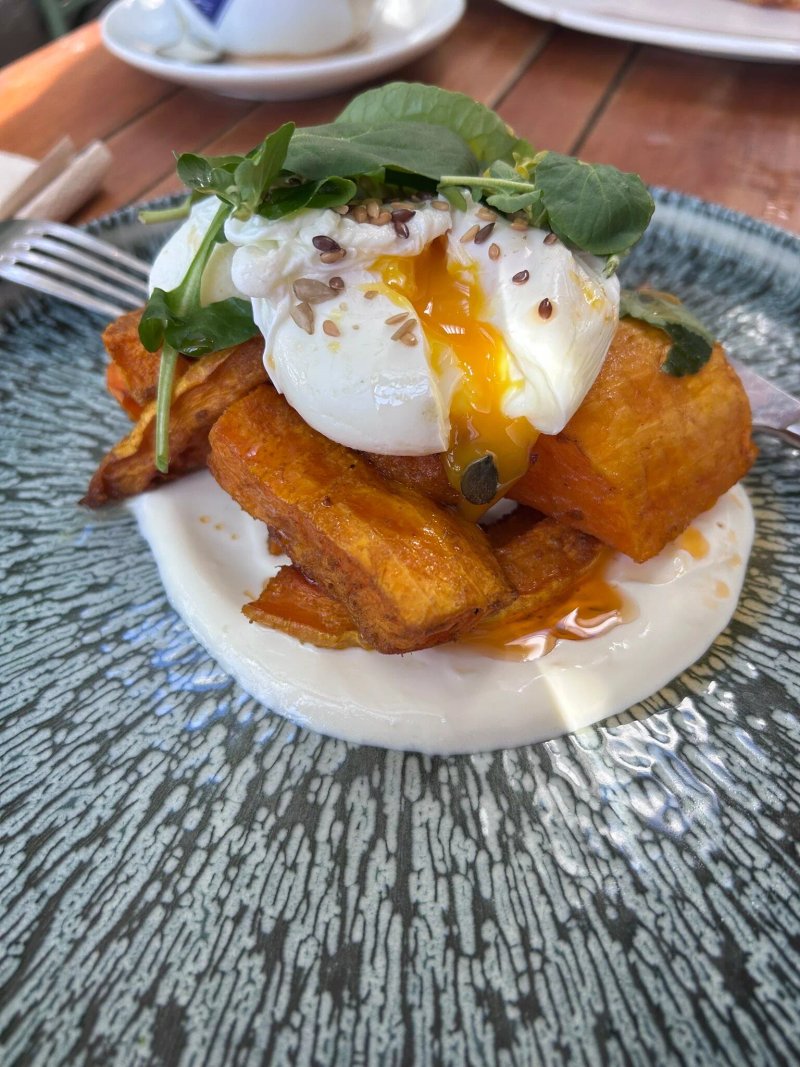 The Jackalope Cafe