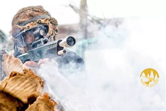 Sniper Valley Laser-tag
