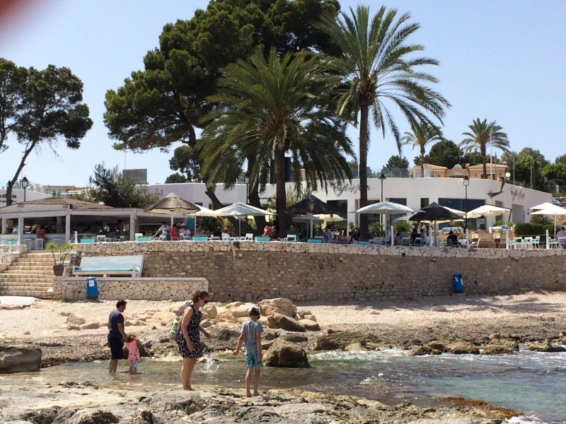 Algas Port Bar-Restaurante