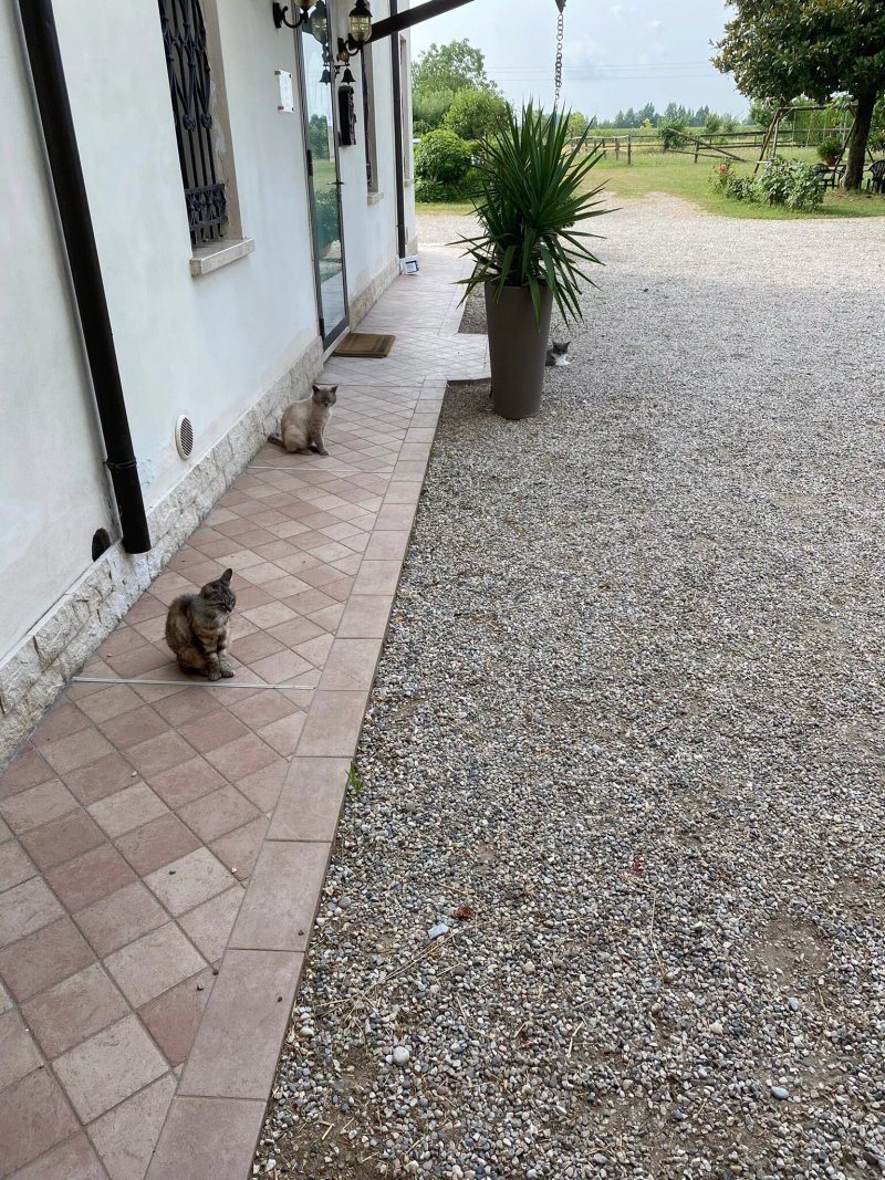 Agriturismo Loghino Caselle