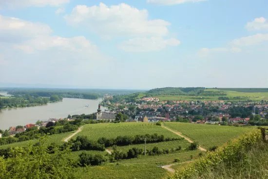 Staiger Wein Erlebnistouren