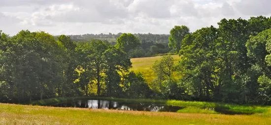 Seldon Farm