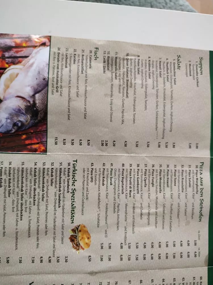 Antalya Grill, Turkische Grillspezialitaten, Schnitzel,Pizza