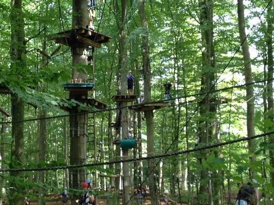 Natur-Hochseilgarten
