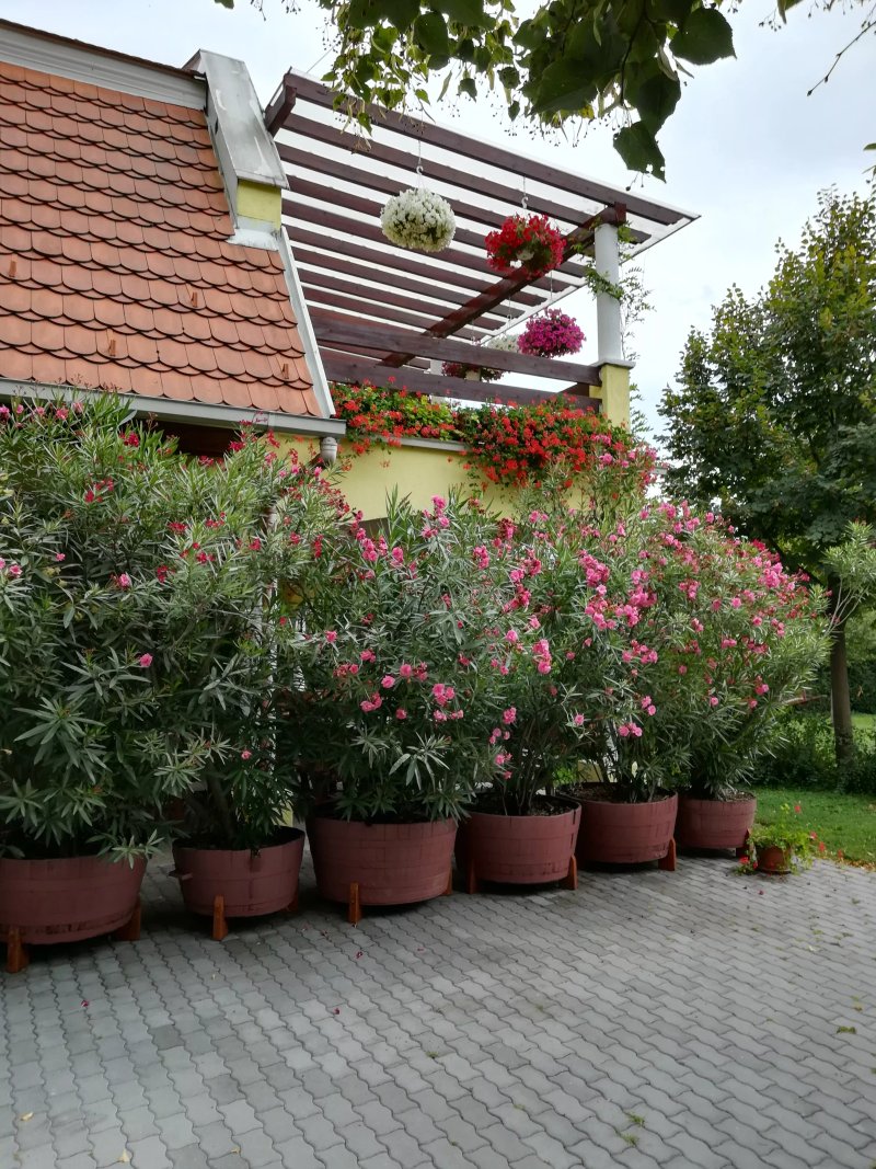 Hotel Huszar Restaurant