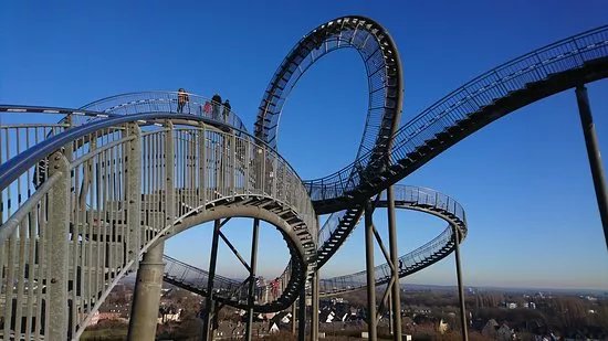Tiger & Turtle