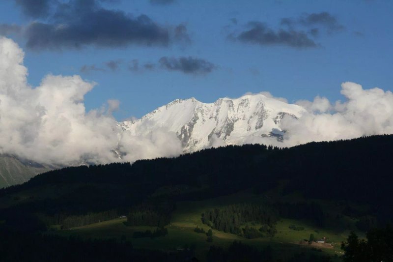 Au Petit Cuchet