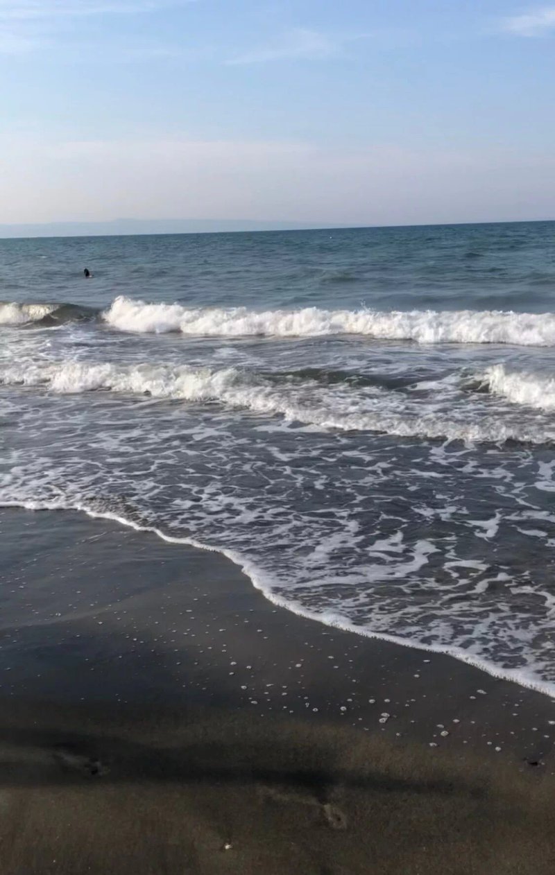 Lido Baywatch