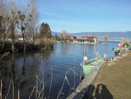 La Grande Caricaie