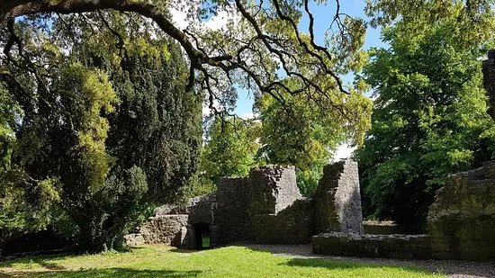Maynooth Castle