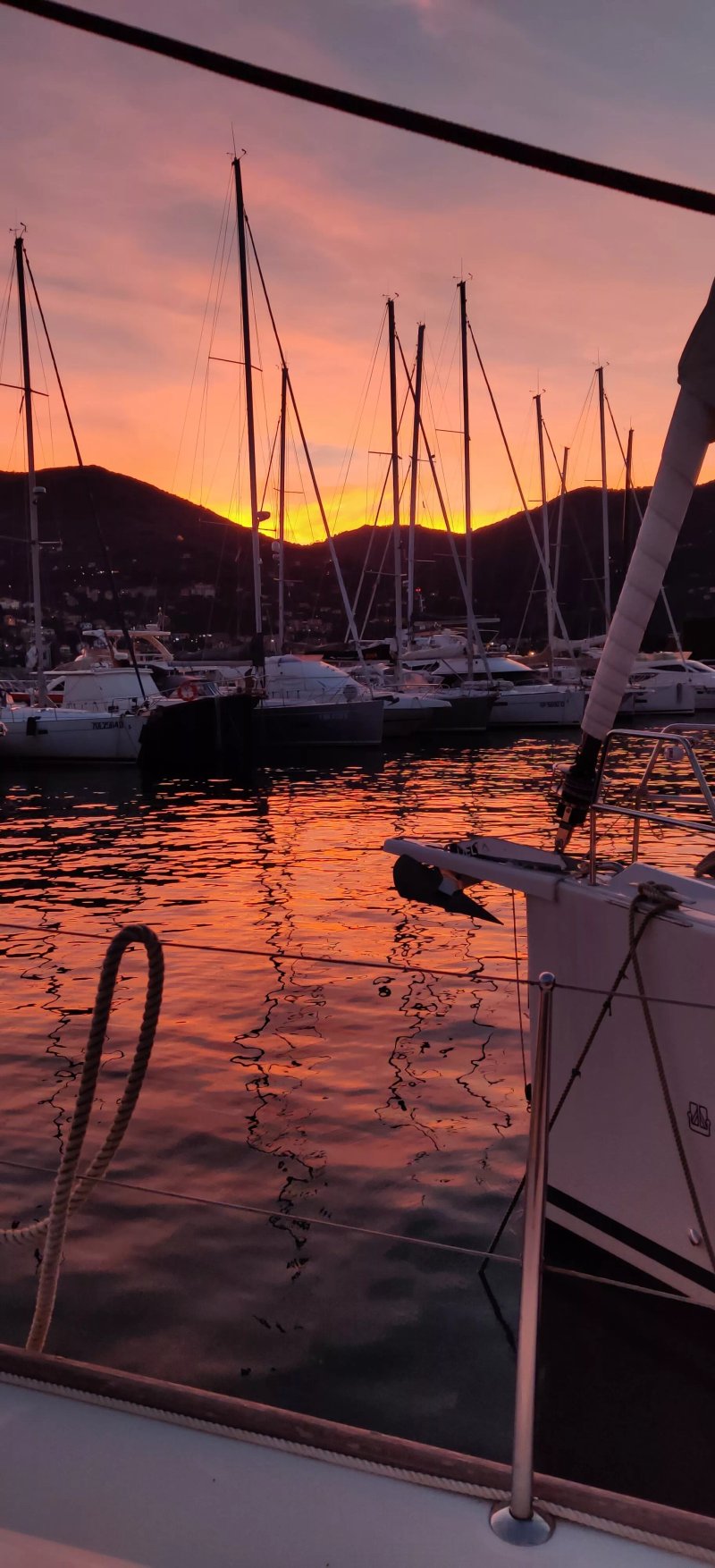 Madyson Sailing