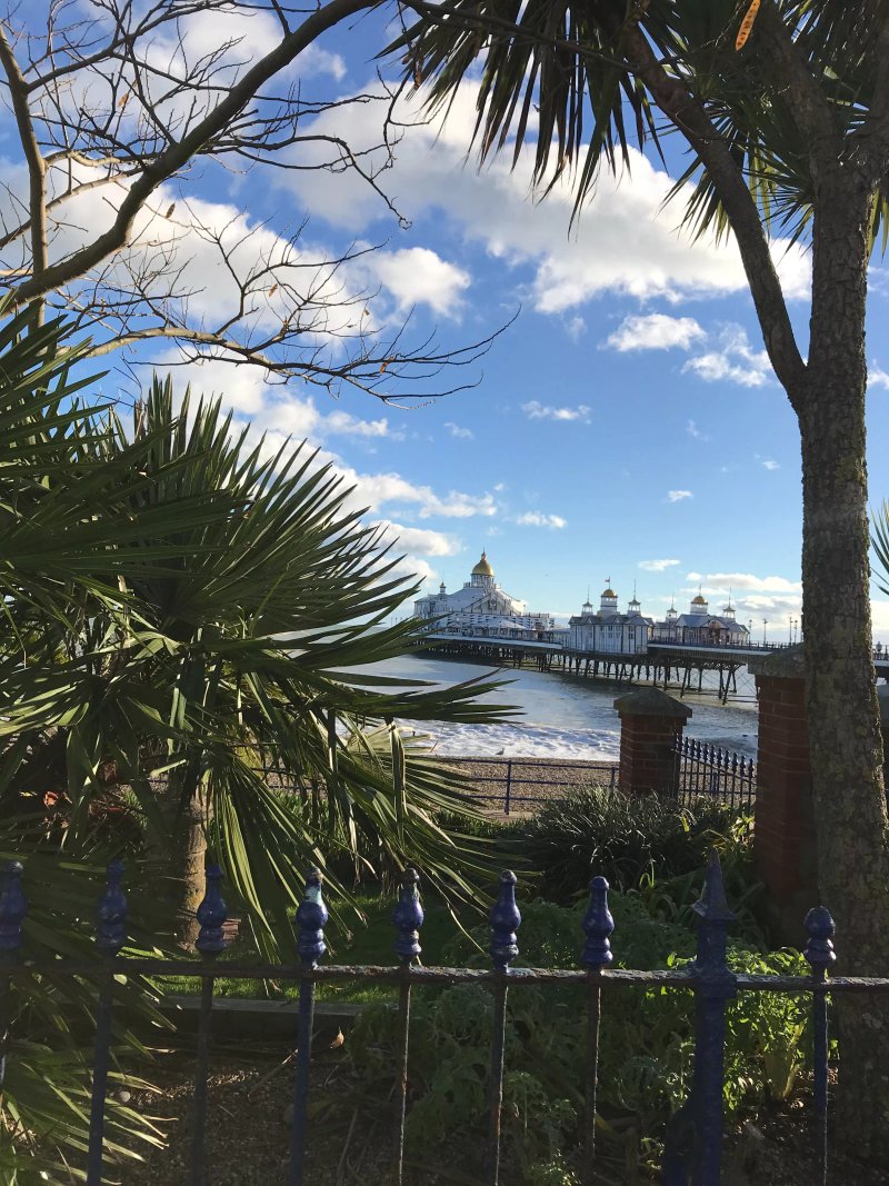 Bay Tree Guest House