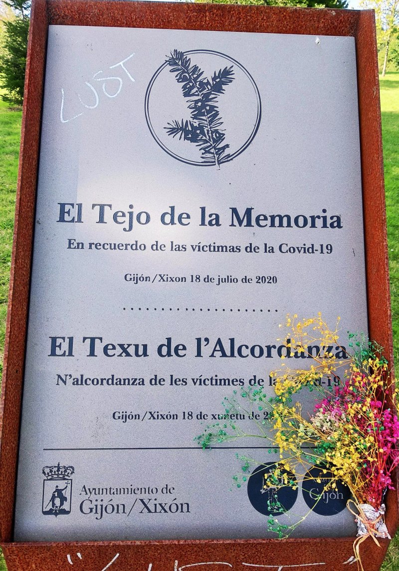 El Tejo De La Memoria