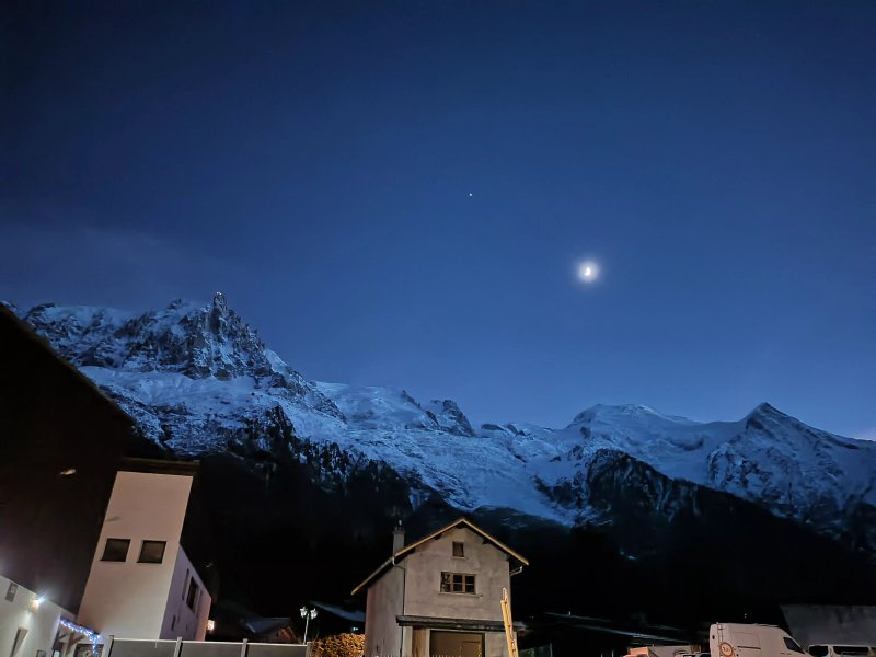 Alpenrose