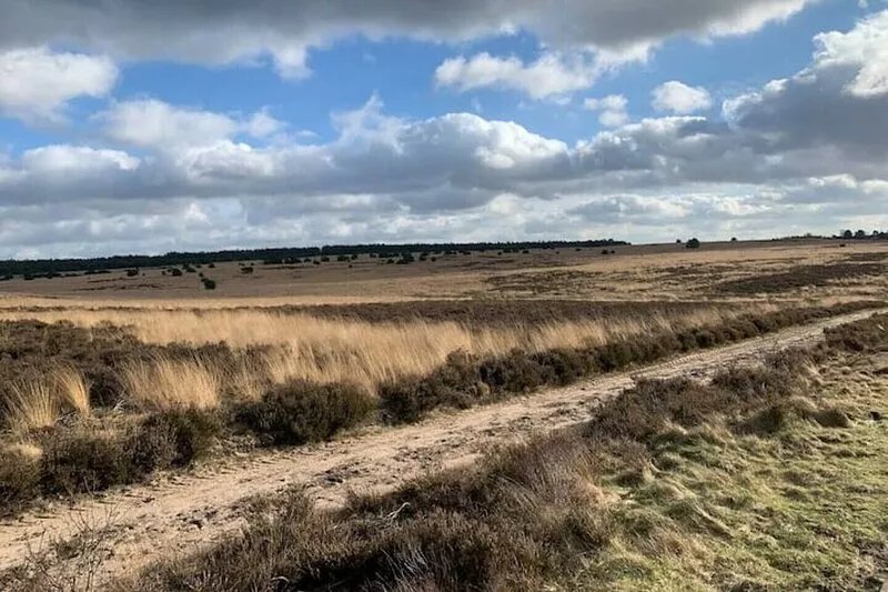 Great place to stay on Veluwe - Otterlo