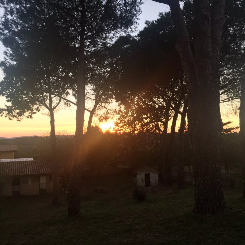 Agriturismo Anna De Croy B&B