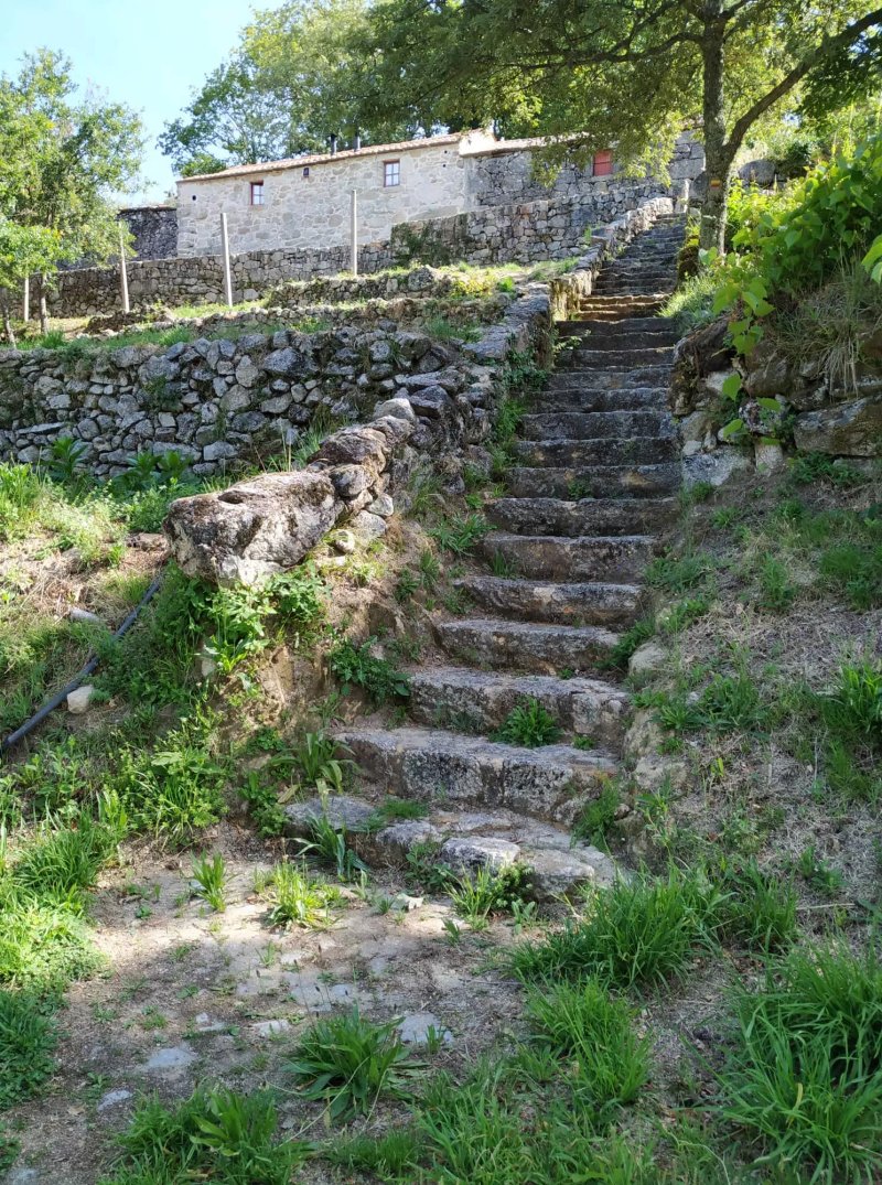 Casas dos Avos