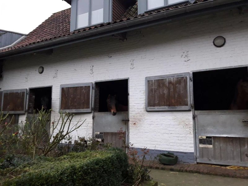 Les Ecuries de la Marque