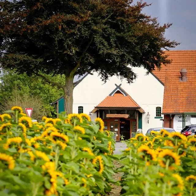Hof Hagedorn
