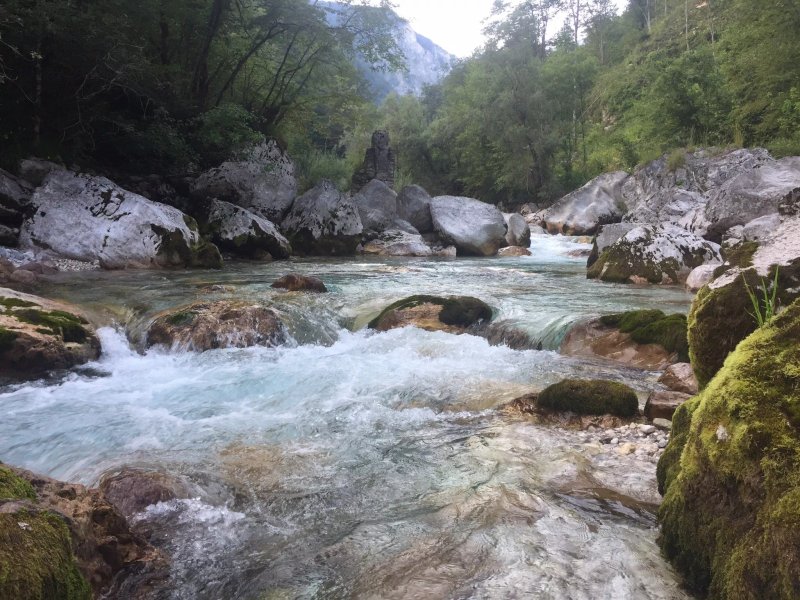 Ekoloska Turisticna Kmetija Pri Lovrcu