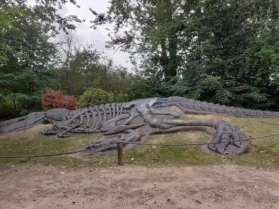 Jurajski Park Dinozaurow Muzeum Dziejow Ziemi