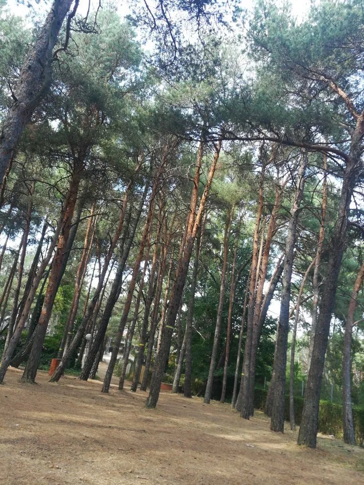 Camping Ciudad de Leon