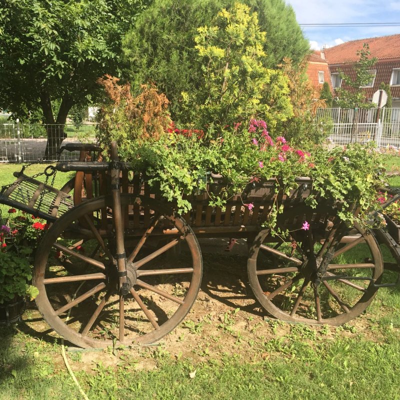 Restoran "KARAS"