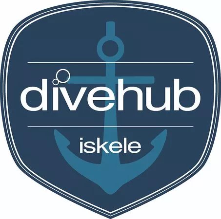 Dive Hub