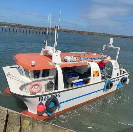 Amble boat trips