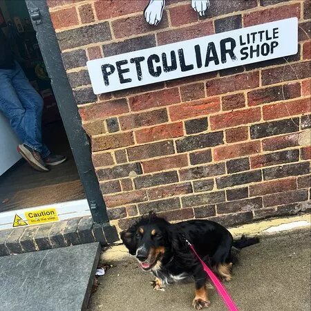 Petculiar Little Shop