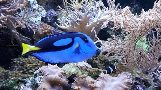 Aquazoo Leerdam