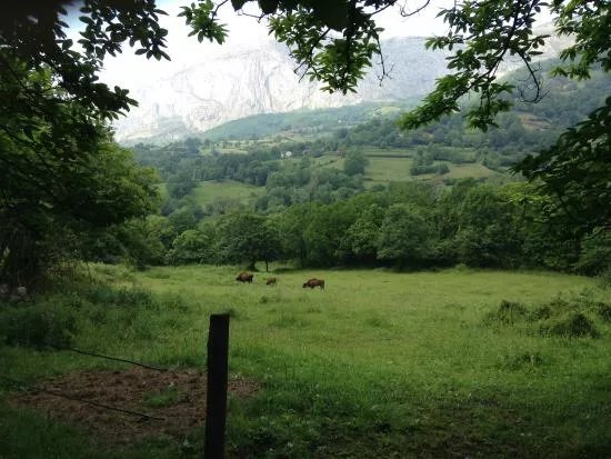 Parque de la Prehistoria