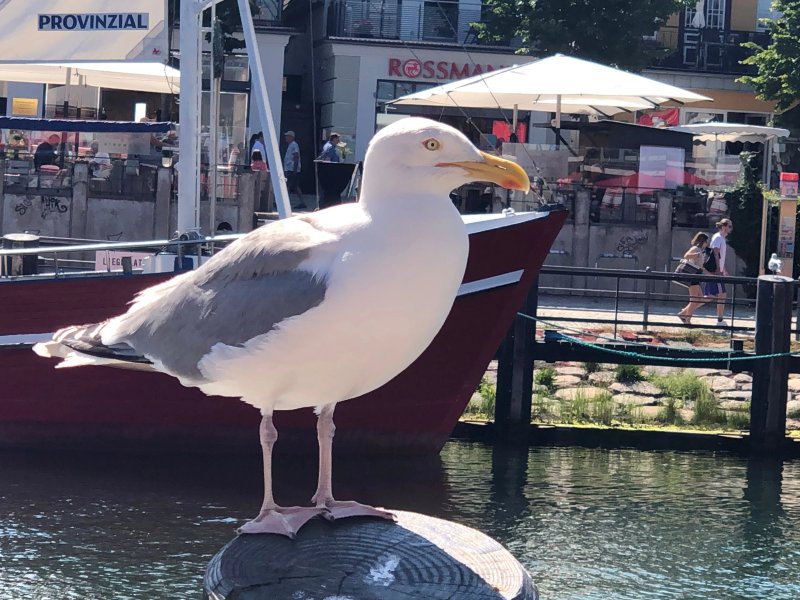Ostseepension Warnemuende