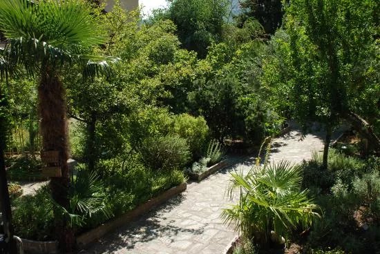 Orto Botanico