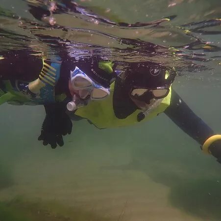 Snorkel Wild