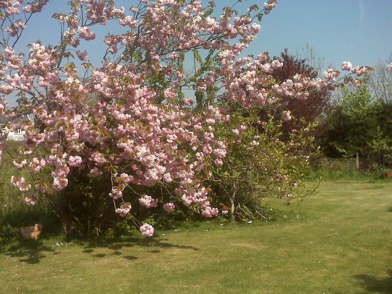 Trull Bed and Breakfast at Higher Dipford Farmhouse