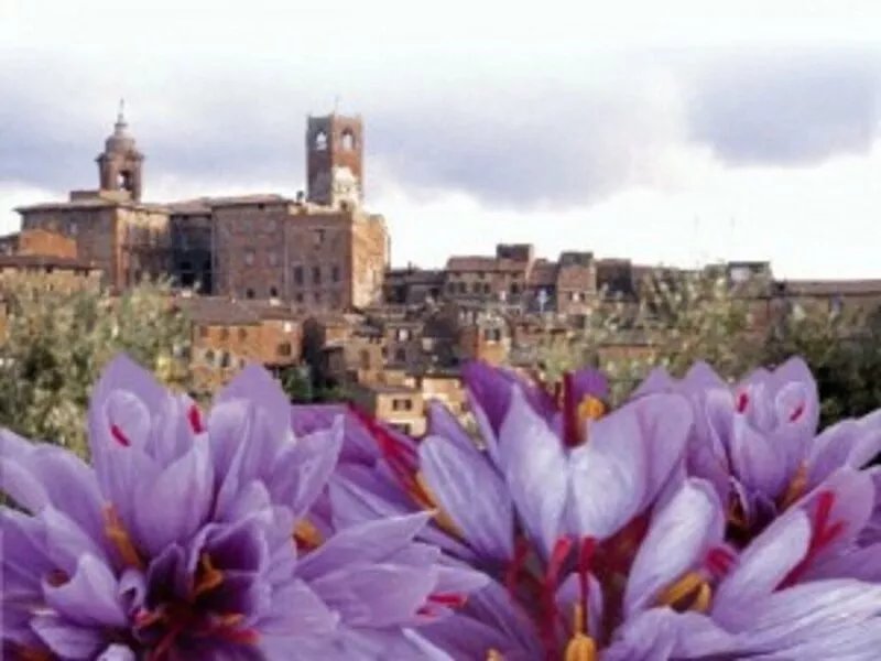 Romantic two-room apartment within the medieval walls ask for special price 3