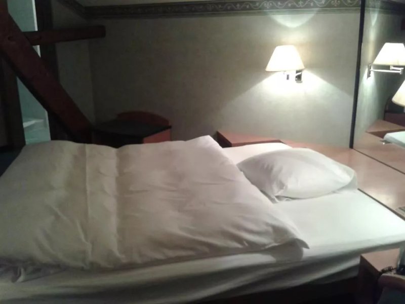 Hotel des Alpes