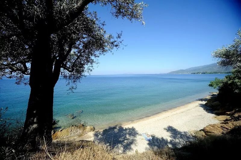 A Family Friendly Holiday Country House With View to Pagasitikos Gulf
