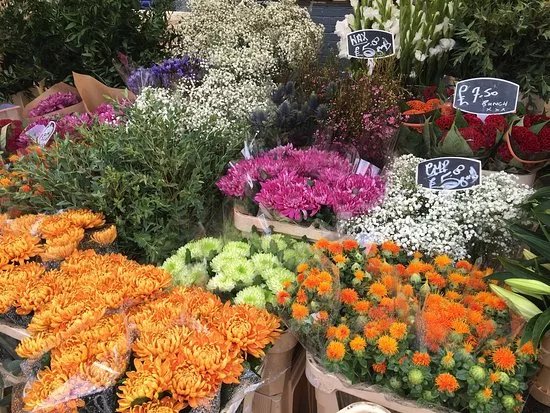 Columbia Road Flower Market