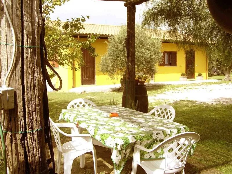 House Vacation Rome with garden dipped in the green of the countries of the