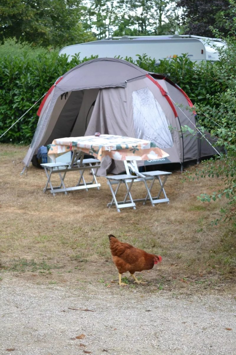 Camping Municipal Alesia