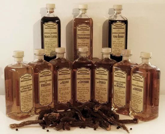 Genzianeria Officinale Belvedere