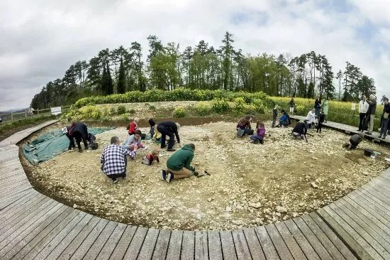 Jurassica Fouilles Du Banne