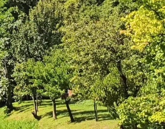 Parco della Liberta