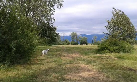 Biotopo Magredi di San Quirino