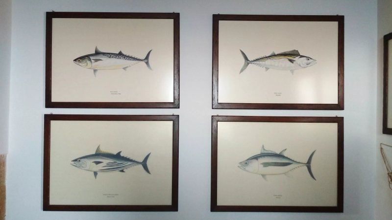 Museo Delle Attivita Marinare